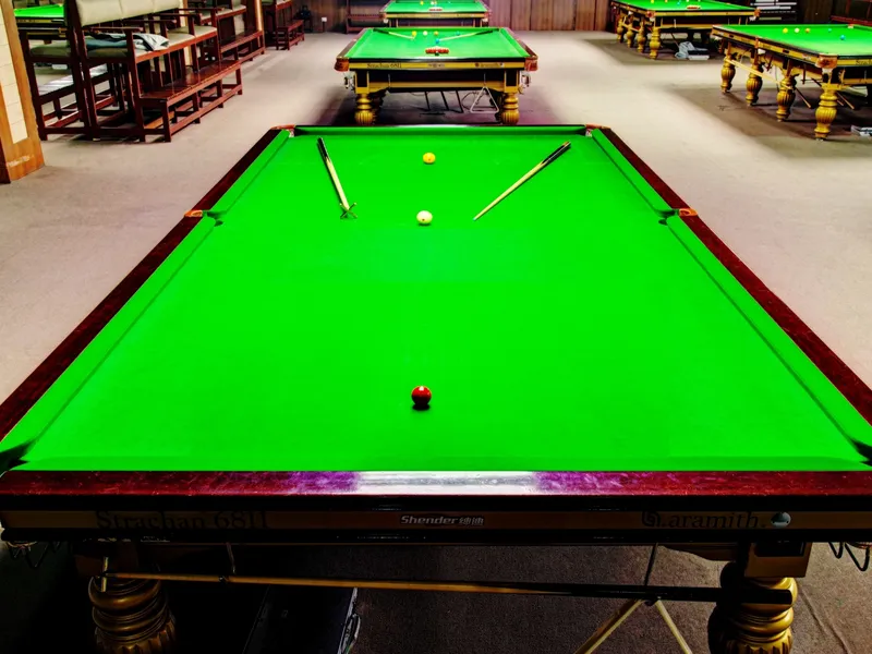 The Karnataka State Billiards Association